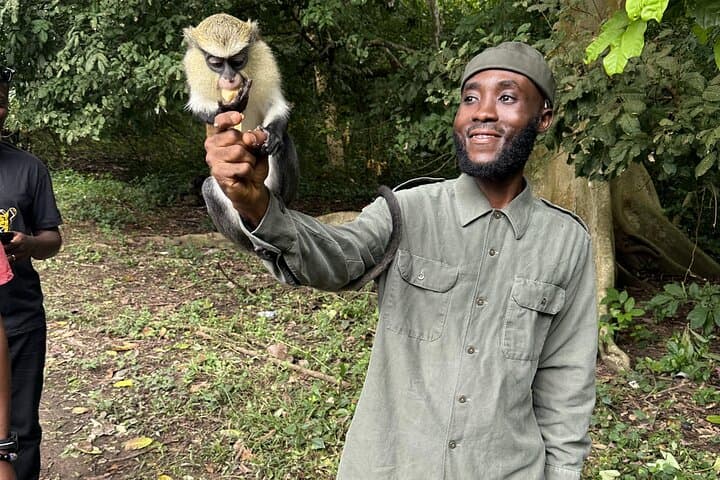 Full-Day Volta Adventure: Wli Waterfalls, Afadjato Summit & Mona Monkeys photo 6