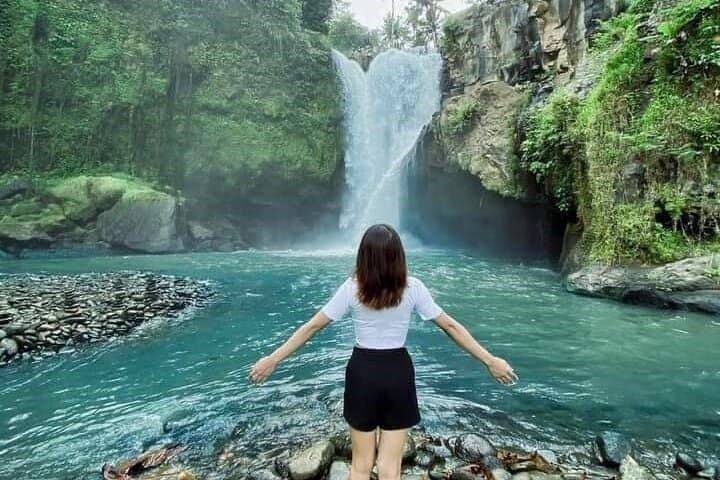 Blue Lagoon Snorkeling and Tegenungan Waterfall Day Trip from Ubud photo 5