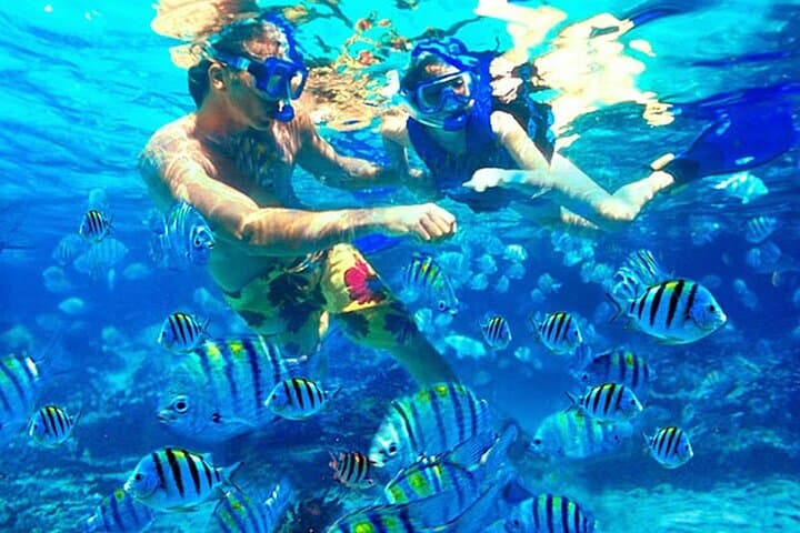 Blue Lagoon Snorkeling and Tegenungan Waterfall Day Trip from Ubud photo 3