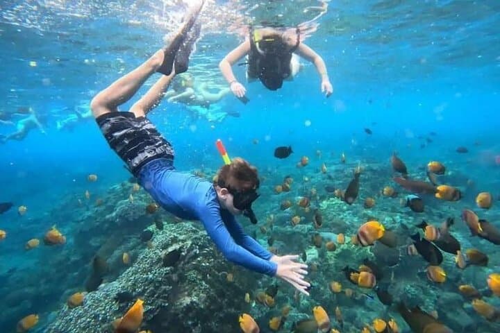 Blue Lagoon Snorkeling and Tegenungan Waterfall Day Trip from Ubud