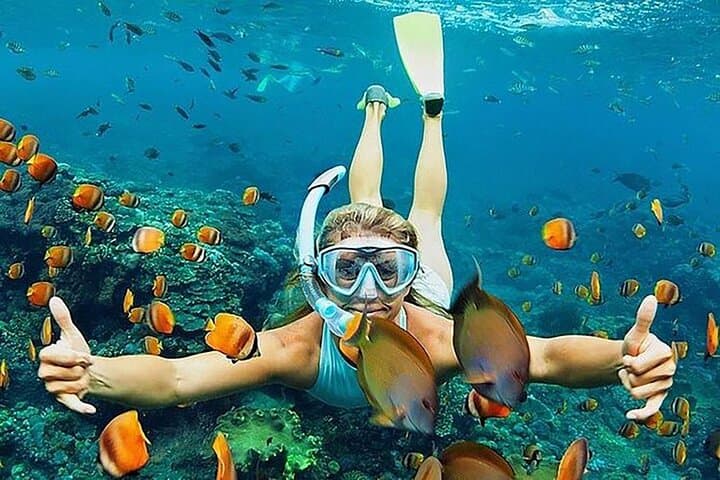 Blue Lagoon Snorkeling and Tegenungan Waterfall Day Trip from Ubud photo 2