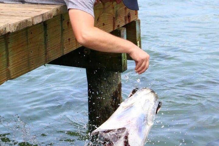 Key Largo Coral Reef Park and Sunset Celebration: Full-Day Tour to John Pennekamp, Robbie's & Gilbert's photo 5
