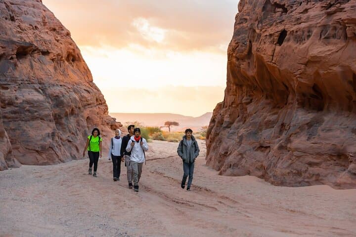 Hidden Valley Hike AlUla: 4 km Desert Walk to Ancient Rock Formations photo 3