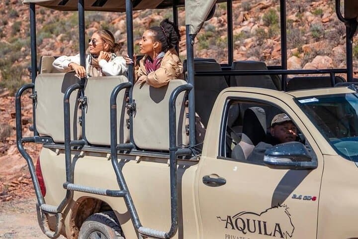 Big 5 Safari at Aquila Game Reserve: Day Trip from Cape Town