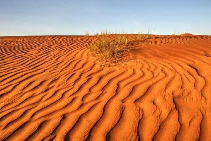 Wahiba Sands Sunset 4x4 Safari with Desert Dinner — Private Tour from Muscat photo 3