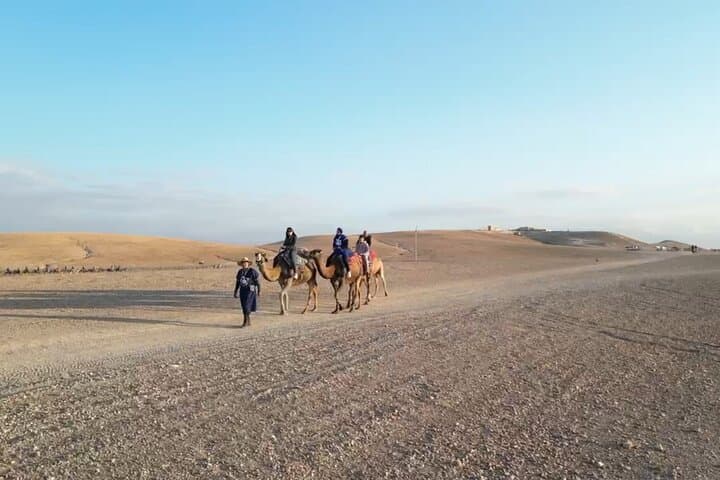 Luxury Agafay Desert Experience from Marrakech: Pool, Camel or Quad & Dinner Show photo 5