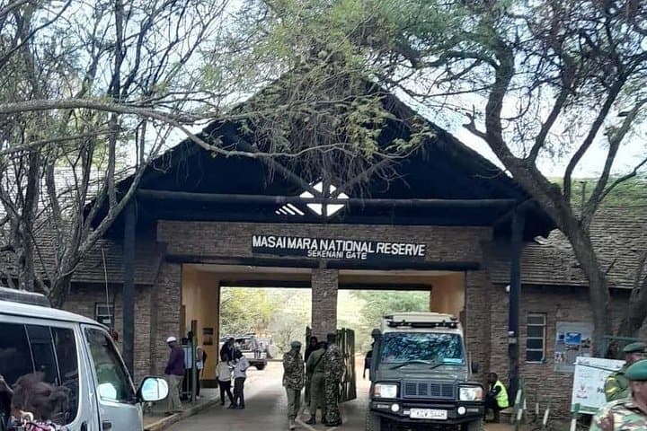 Overnight Maasai Mara Safari: 2-Day Game Drives & Lodge Stay from Nairobi photo 1