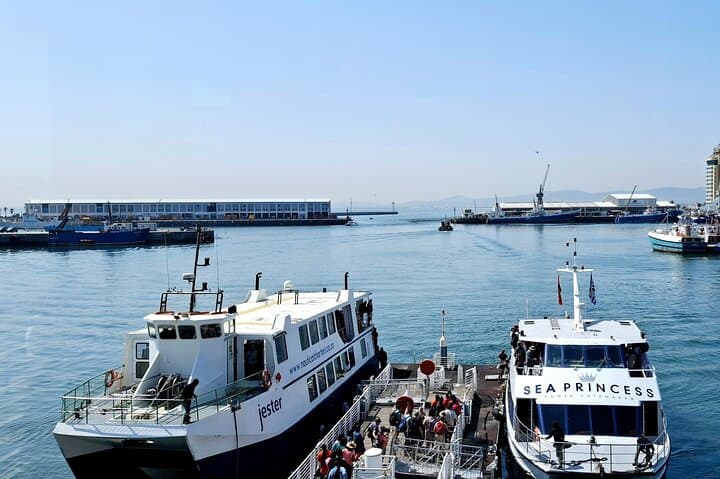 Robben Island Tour with Pre-Booked Tickets — Cape Town Ferry & Museum photo 6