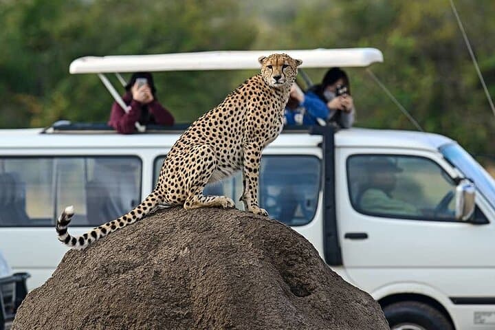 3-Day Maasai Mara Safari from Nairobi: Big Five, Migration & Maasai Visit photo 6