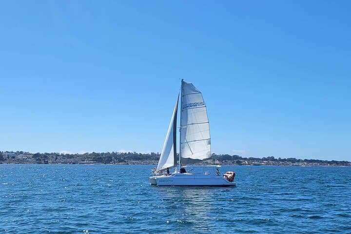 Experience Serenity and Wildlife on a Monterey Bay Catamaran Sailing Cruise photo 3