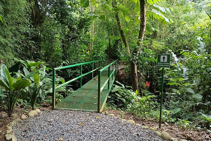 ANURA Night Walk La Fortuna — Guided Two‑Hour Wildlife Tour photo 4
