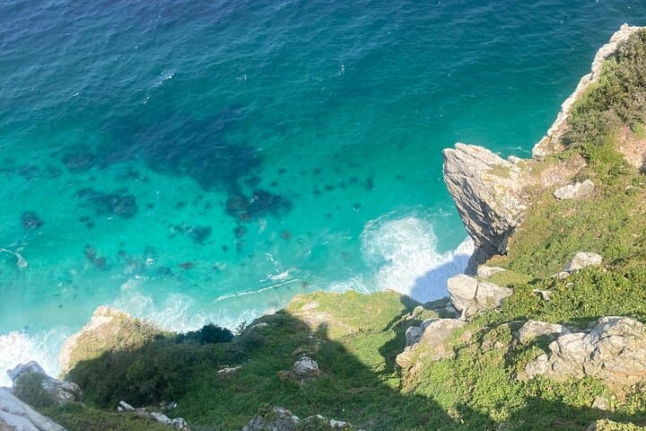 Cape Peninsula Day Trip: Cape of Good Hope, Chapman's Peak & Boulders Beach Penguins photo 3