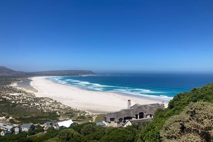 Cape Peninsula Day Trip: Cape of Good Hope, Chapman's Peak & Boulders Beach Penguins photo 6