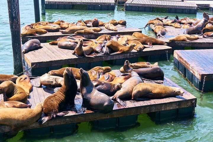 San Francisco Uncovered: The Ultimate Self-Guided Walking Adventure photo 3
