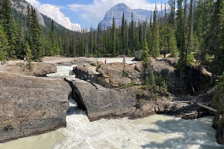 Exploring Yoho National Park: A Day Tour to Emerald Lake, Natural Bridge & Takakkaw Falls photo 3