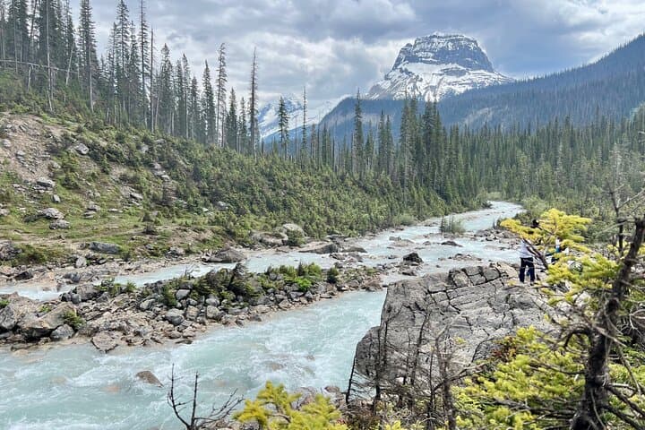 Exploring Yoho National Park: A Day Tour to Emerald Lake, Natural Bridge & Takakkaw Falls photo 6