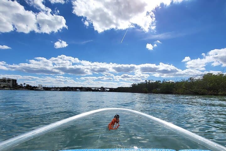 Clear Kayak Eco Tour in Jupiter FL — Manatees, Mangroves & Sandbars photo 3