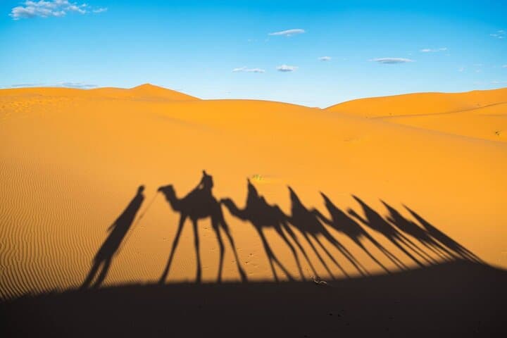 Overnight Camel Trekking and Desert Camp at Erg Chebbi, Merzouga photo 5