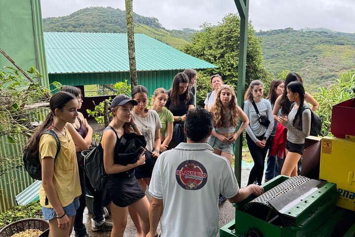 Monteverde Coffee Tour: Farm Walk, Roasting & Cupping Experience photo 5