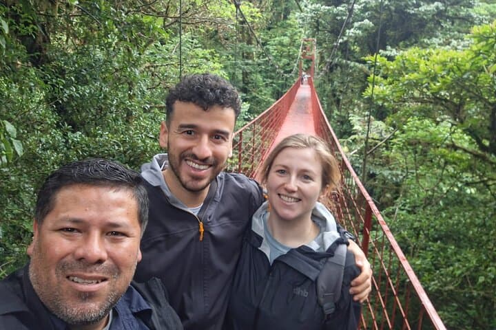 Monteverde Cloud Forest Guided Walk: 2-Hour Wildlife and Suspension Bridge Tour photo 5