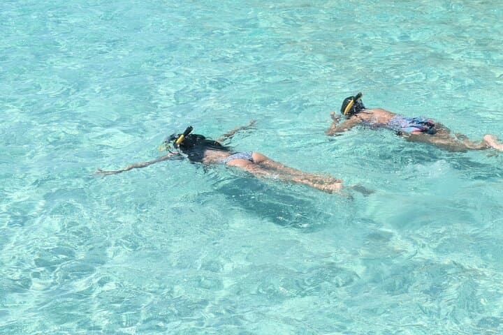 Private Pontoon to Crab Island — Destin Dolphin & Snorkel Charters photo 5