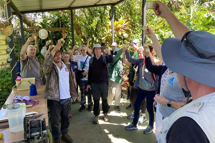 Monteverde Coffee Tour: Farm Walk, Roasting & Cupping Experience photo 6