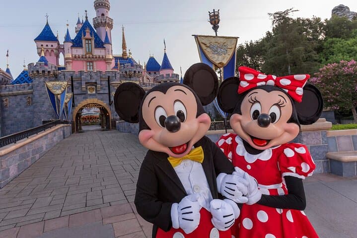 Private Luxury Transfer to Disney and Universal in Orlando
