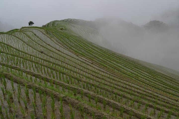 Ride the Ropeway Above Longji Dazhai Rice Terraces — Day Tour from Guilin photo 4