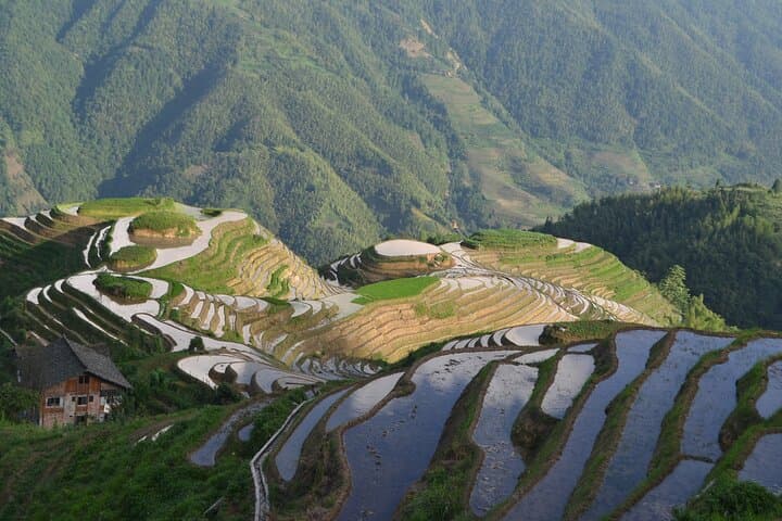 Ride the Ropeway Above Longji Dazhai Rice Terraces — Day Tour from Guilin photo 5