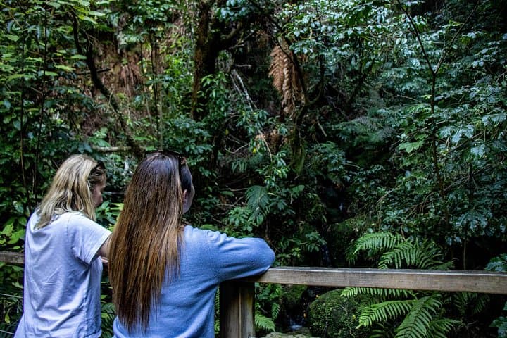 Chasing Waterfalls: Waihora Bay Boat Tour from Kinloch Marina photo 4