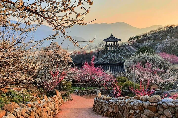 Gwangyang Maehwa and Gurye Sansuyu Spring Festival Day Trip from Busan photo 3