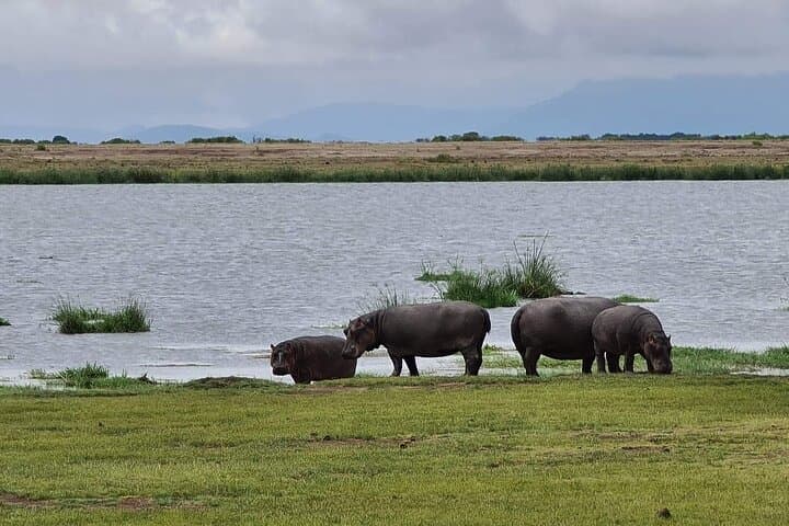2-Day Nairobi Escape: Hells Gate, Lake Naivasha & Lake Nakuru Safari photo 6