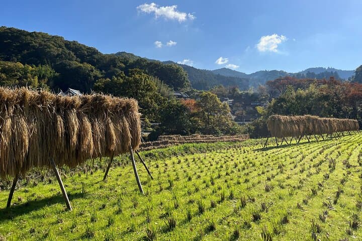 Hidden Asuka Village: 2-Day Private Immersion in Nara's Ancient Heart photo 6