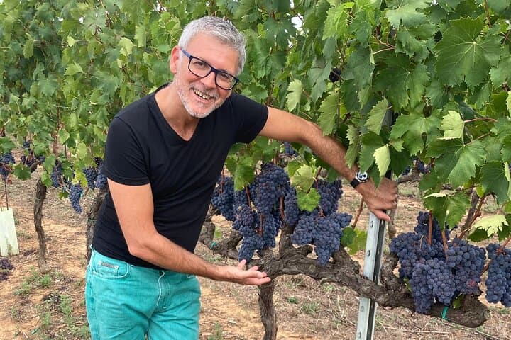 Private Taste of Tuscany: Brunello, Pecorino & Val d’Orcia Day Tour photo 3