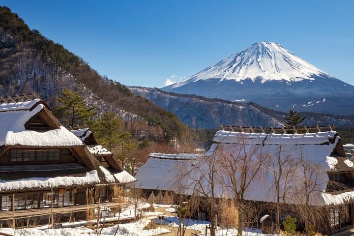 Private Mt. Fuji Hidden Gems & Aokigahara Forest Tour - Custom 10-Hour Experience photo 3
