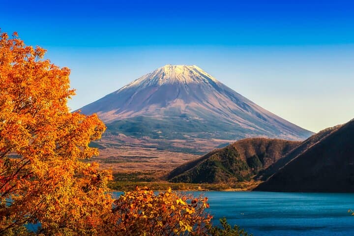 Private Mt. Fuji Hidden Gems & Aokigahara Forest Tour - Custom 10-Hour Experience photo 6