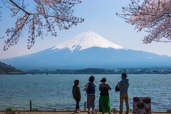 Private Mt. Fuji Hidden Gems & Aokigahara Forest Tour - Custom 10-Hour Experience photo 2