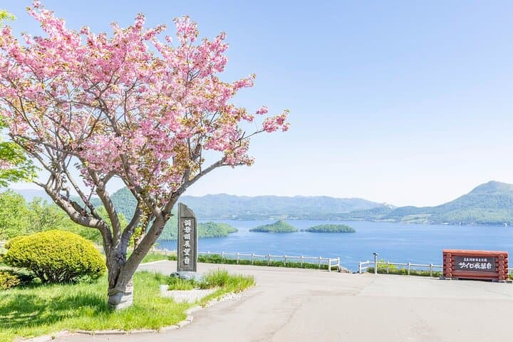 Hokkaido Full-Day: Noboribetsu, Lake Toya, Bear Ranch & Otaru photo 4