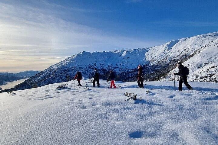 Guided Snowshoe Hike from Bergen: Private Winter Trek to Fjord Viewpoints