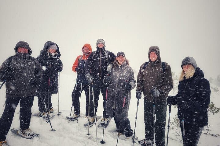 Guided Snowshoe Hike from Bergen: Private Winter Trek to Fjord Viewpoints photo 5