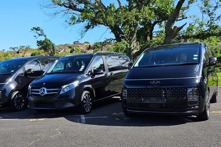 Private Full-Day Chauffeur Service from Cape Town — Flexible Sightseeing & Wine Routes