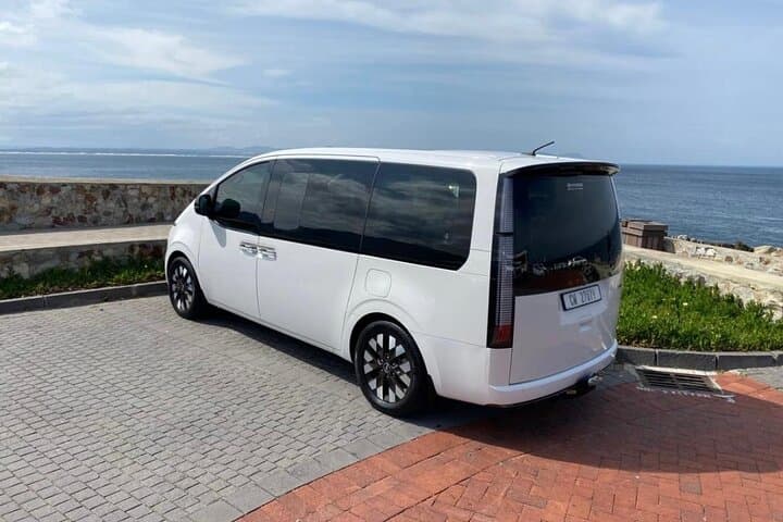 Private Full-Day Chauffeur Service from Cape Town — Flexible Sightseeing & Wine Routes photo 6