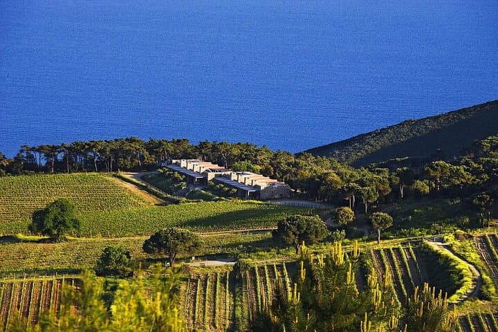 Family E-Bike Tour on Elba’s Costa dei Gabbiani: Beaches, Trails & Views photo 4