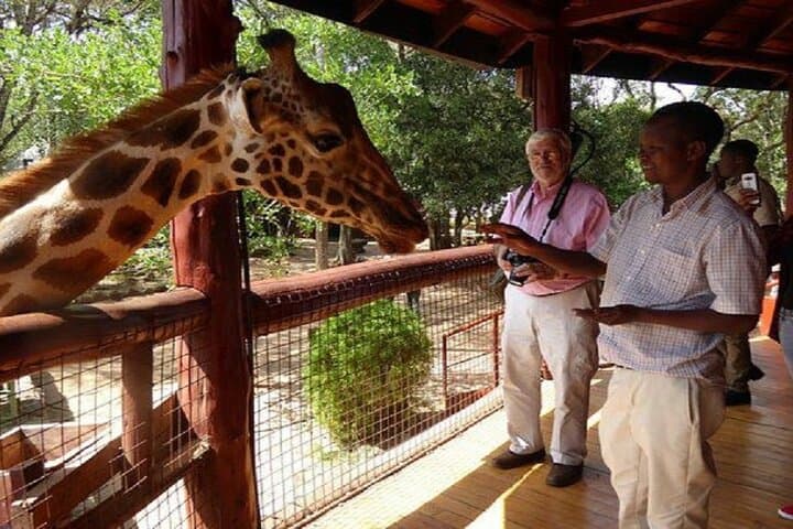 Nairobi Karen Blixen, Beads Factory & Giraffe Center Day Tour photo 6