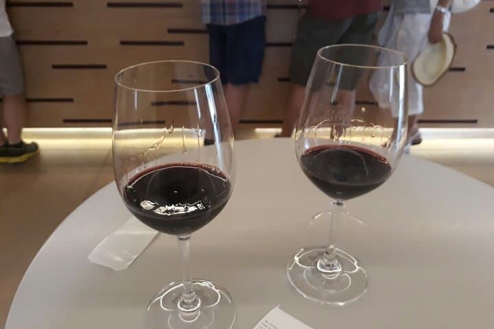 Full-Day Cape Winelands Tour: Game Drive & Franschhoek Wine Tram photo 4