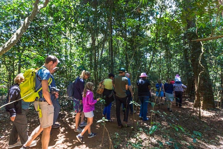 Kiambethu Tea Estate Tour & Farm-to-Table Lunch from Nairobi photo 4