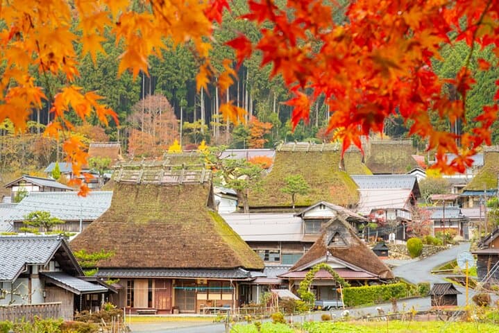 A Day Through Amanohashidate, Ine Bay and Miyama: Coastal Japan from Osaka
