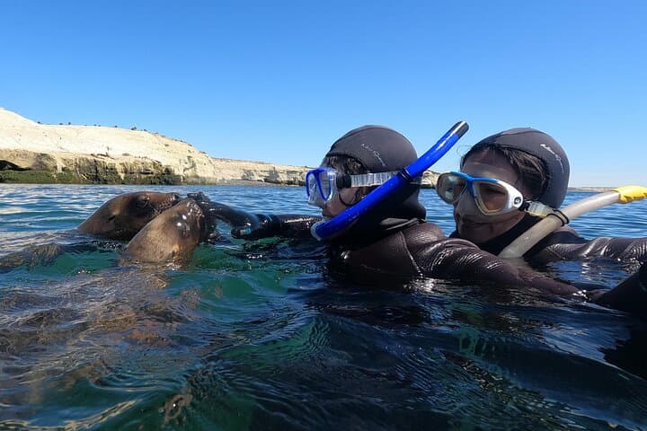 Snorkel with Sea Lions at Punta Loma — Puerto Madryn Adventure photo 5