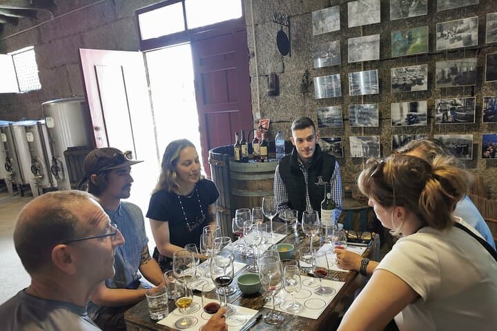 Douro & Vinho Verde Family Wineries Private Day Tour from Porto photo 4