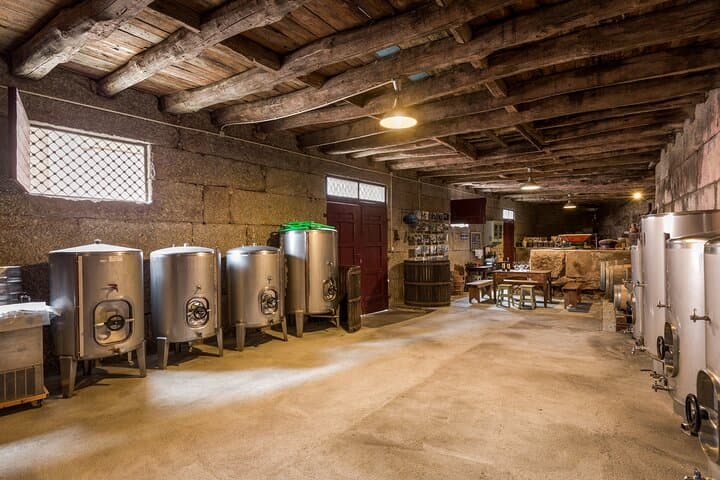 Douro & Vinho Verde Family Wineries Private Day Tour from Porto photo 2